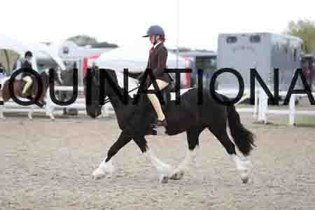 TOM-1442