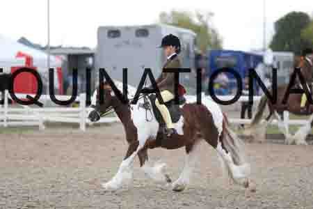 TOM-1443