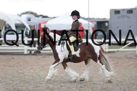 TOM-1444