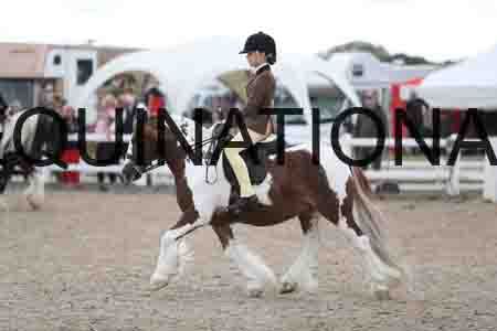 TOM-1445