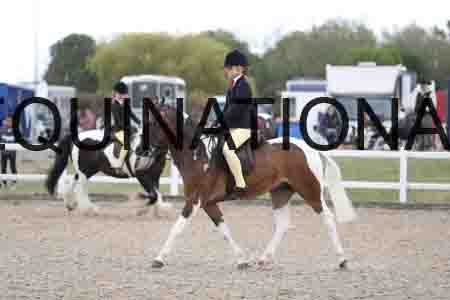 TOM-1446