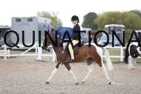TOM-1447