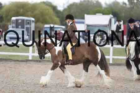 TOM-1448