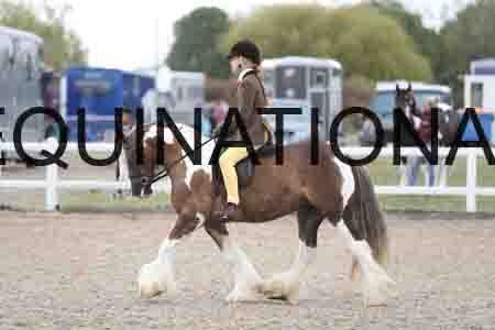TOM-1449