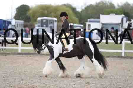 TOM-1450