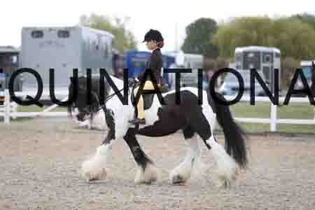 TOM-1451