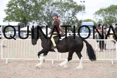 TOM-1452