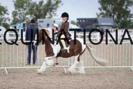 TOM-1453