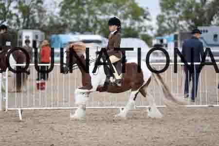 TOM-1454