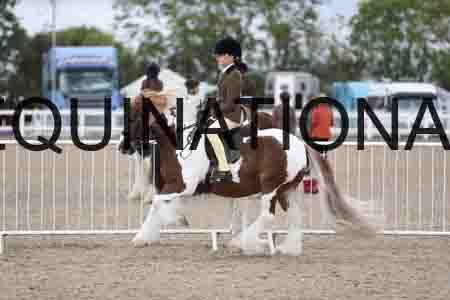 TOM-1455