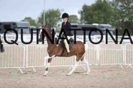 TOM-1456