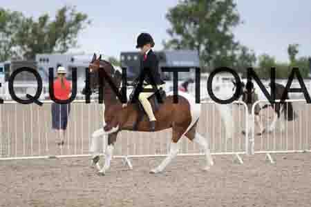 TOM-1457