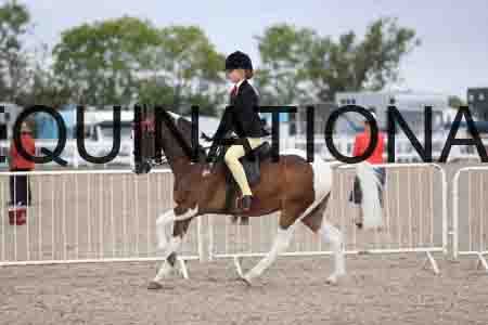 TOM-1458