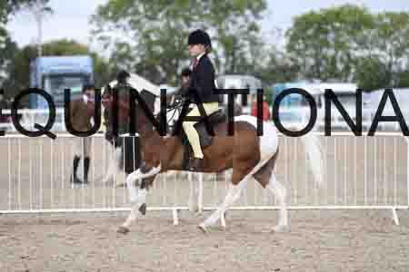 TOM-1459