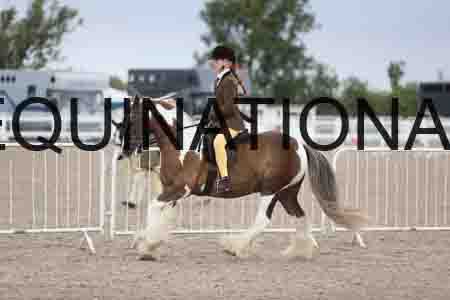 TOM-1460