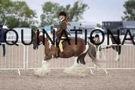 TOM-1461