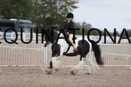 TOM-1462