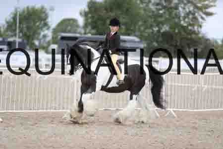 TOM-1463