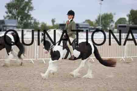 TOM-1464