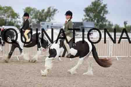 TOM-1465