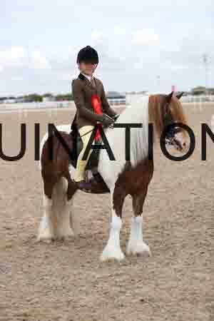 TOM-1466