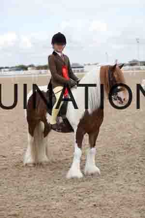 TOM-1467