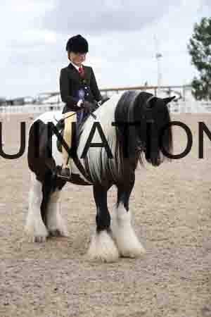 TOM-1473