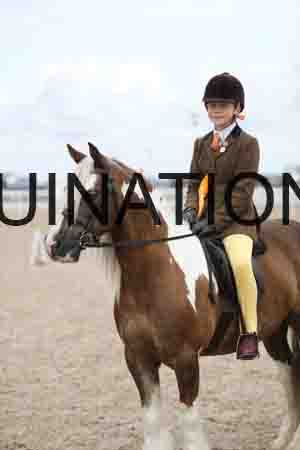 TOM-1479