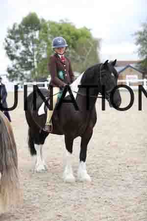 TOM-1481