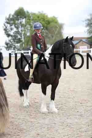 TOM-1482
