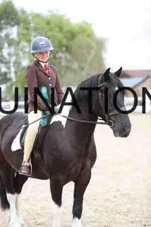 TOM-1483