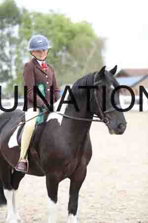 TOM-1484