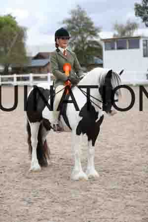 TOM-1485