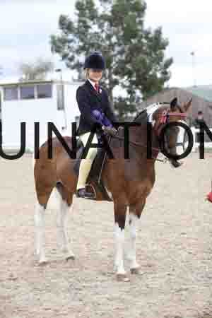 TOM-1489