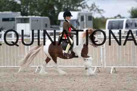 TOM-1493