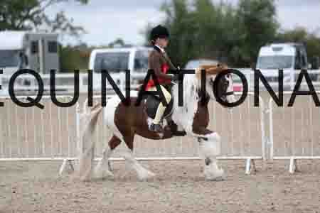 TOM-1494