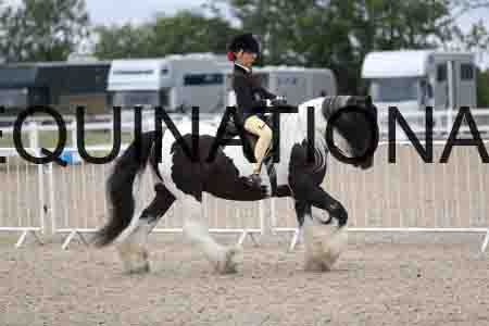 TOM-1495
