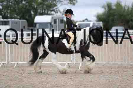 TOM-1496