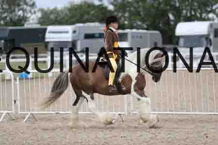TOM-1497
