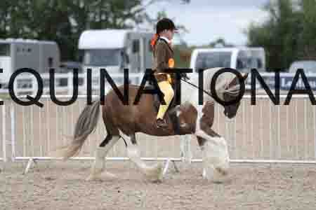 TOM-1498