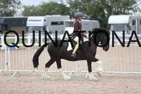 TOM-1499