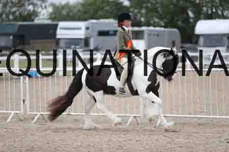 TOM-1501
