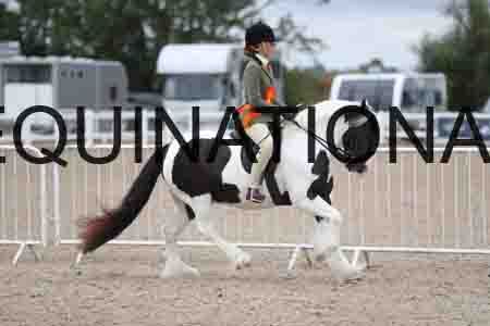 TOM-1502