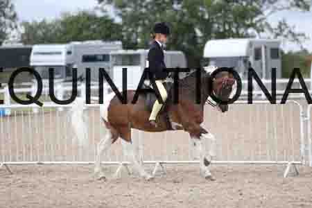 TOM-1503