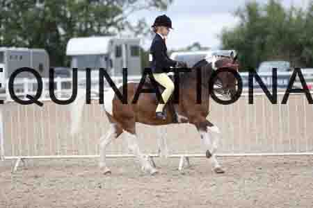 TOM-1504