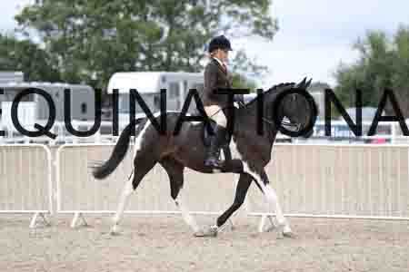 TOM-1506
