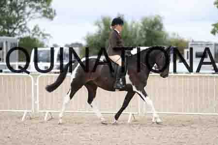 TOM-1507