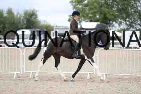TOM-1508