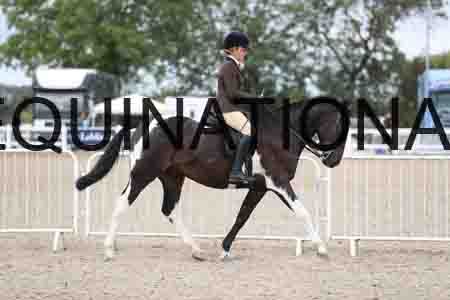 TOM-1509