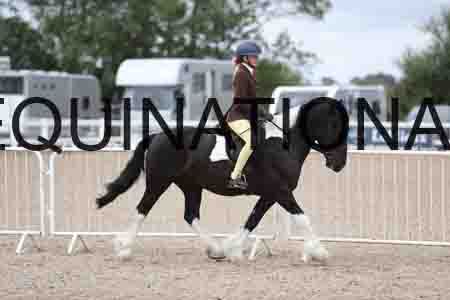 TOM-1511